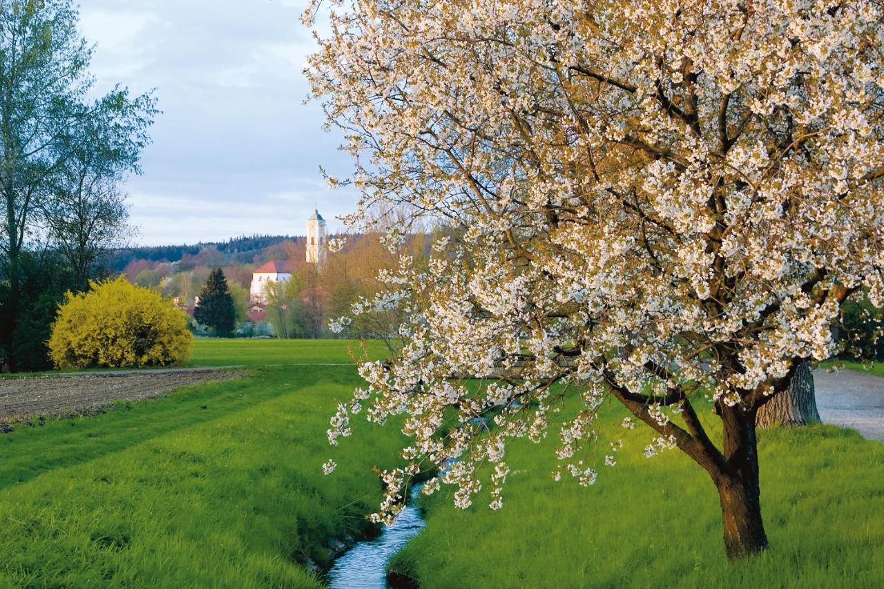 Western Birnbachhoehe Hotel Bad Birnbach