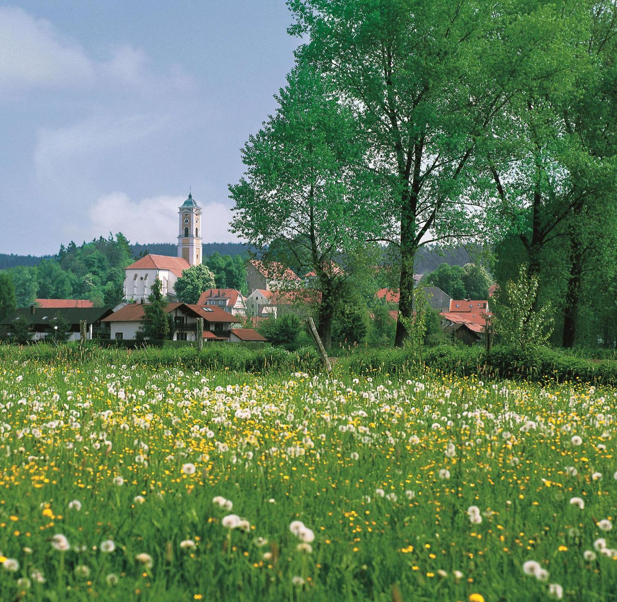 Western Birnbachhoehe